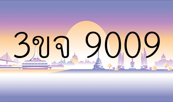 3ขจ 9009